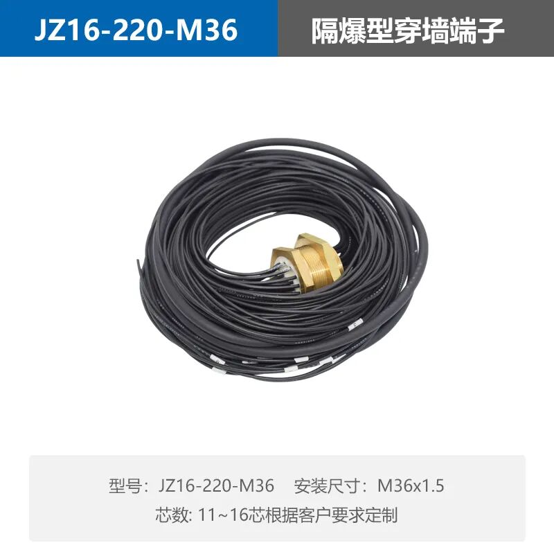 隔爆型穿墙端子JZ16-220-M36